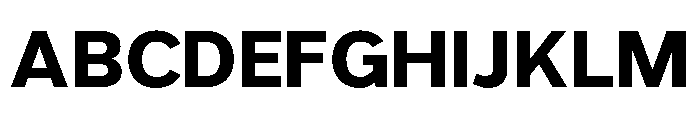 Grey Sans Bold Font UPPERCASE