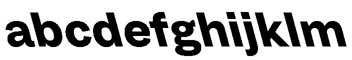 Grtsk Bold Backslant FONT