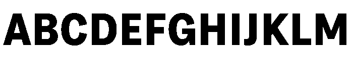 Grtsk Exa Bold Font UPPERCASE