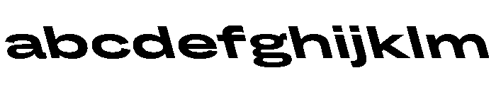Grtsk Giga Bold Backslant FONT