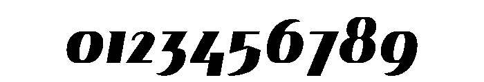 Gryffith Extra Bold Italic Font OTHER CHARS