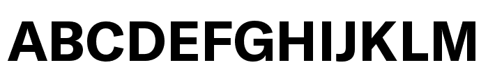 GT America Standard Bold Font UPPERCASE