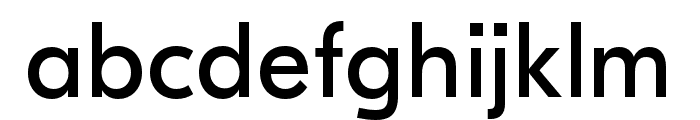 GT Eesti Display Regular Font LOWERCASE
