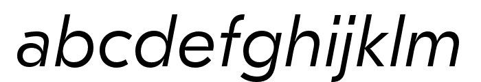 GT Eesti Text Light Italic Font LOWERCASE