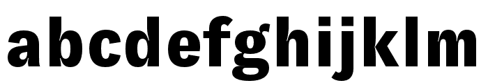 GT Zirkon Black Font LOWERCASE