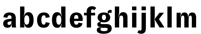 GT Zirkon Bold Font LOWERCASE