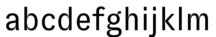 GT Zirkon Book Font LOWERCASE