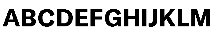 GTAmericaDevanagari Bold Font UPPERCASE