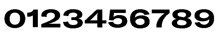 GTAmericaLCGV ExpandedBold Font OTHER CHARS