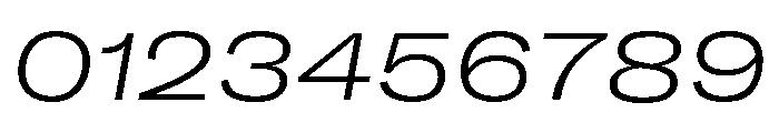 GTAmericaLCGV ExpandedLightItalic Font OTHER CHARS