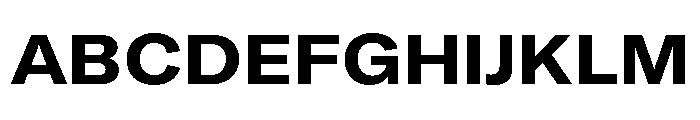 GTAmericaLCGV ExtendedBold 2 Font UPPERCASE