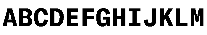 GTAmericaMonoLCGV Bold Font UPPERCASE