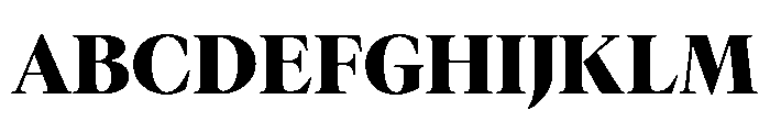 GTCanon LBlack 2 Font UPPERCASE
