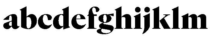 GTCanon LBlack 2 FONT