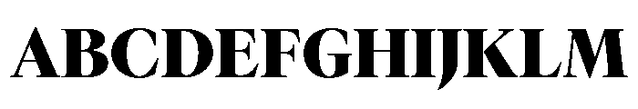 GTCanon LBlack Font UPPERCASE
