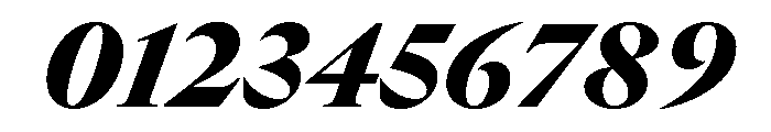 GTCanon LBlackItalic Font OTHER CHARS
