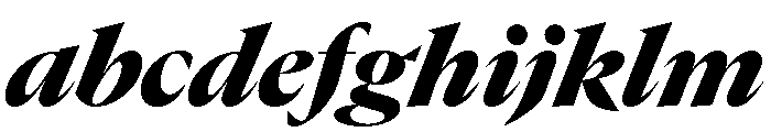 GTCanon LBlackItalic FONT