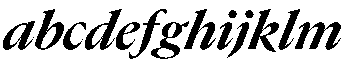 GTCanon LBoldItalic 2 FONT