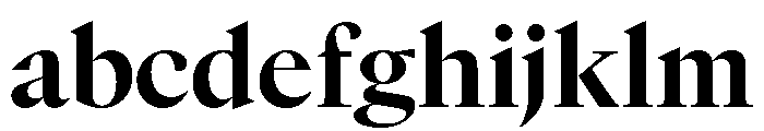 GTCanon LBold FONT
