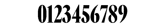 GTCanon LCondensedBlack 2 Font OTHER CHARS