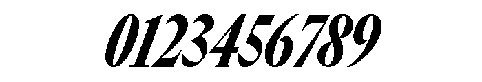 GTCanon LCondensedBlackItalic 2 Font OTHER CHARS