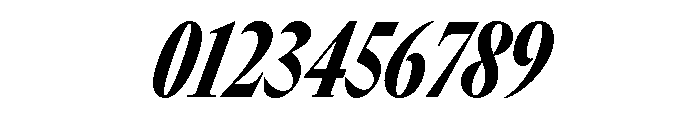 GTCanon LCondensedBlackItalic Font OTHER CHARS