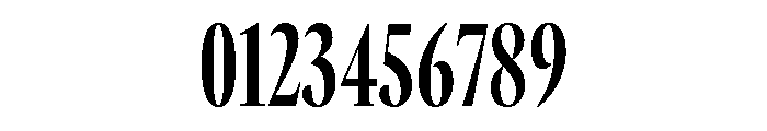 GTCanon LCondensedBold 2 Font OTHER CHARS