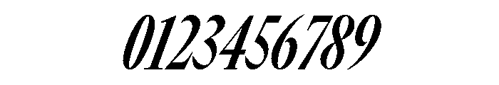 GTCanon LCondensedBoldItalic 2 Font OTHER CHARS