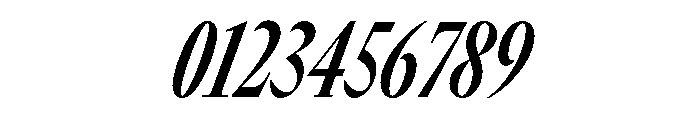 GTCanon LCondensedBoldItalic Font OTHER CHARS