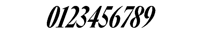 GTCanon LCondensedHeavyItalic Font OTHER CHARS