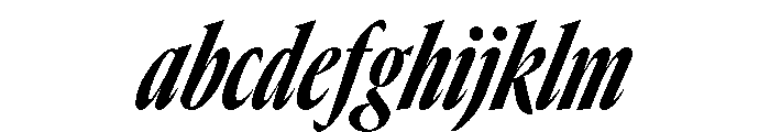 GTCanon LCondensedHeavyItalic FONT