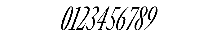 GTCanon LCondensedLightItalic 2 Font OTHER CHARS