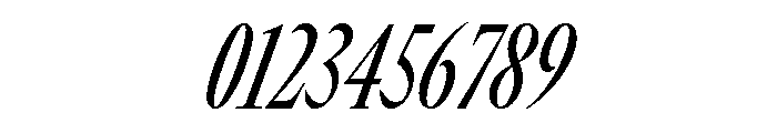 GTCanon LCondensedMediumItalic Font OTHER CHARS