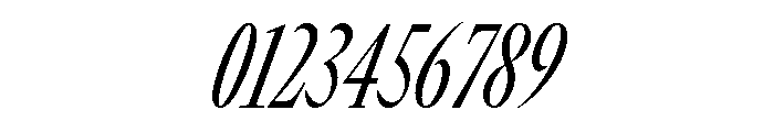 GTCanon LCondensedRegularItalic 2 Font OTHER CHARS