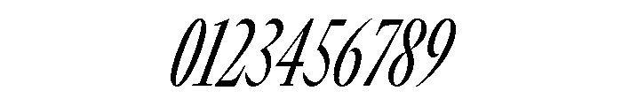 GTCanon LCondensedRegularItalic Font OTHER CHARS
