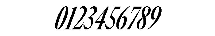 GTCanon LCondensedSemiboldItalic Font OTHER CHARS