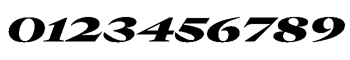 GTCanon LExpandedBlackItalic 2 Font OTHER CHARS