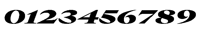 GTCanon LExpandedBlackItalic Font OTHER CHARS