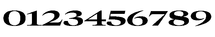 GTCanon LExpandedBold 2 Font OTHER CHARS