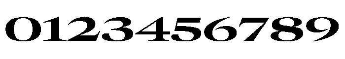 GTCanon LExpandedBold Font OTHER CHARS