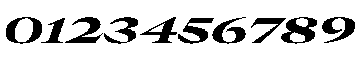GTCanon LExpandedHeavyItalic Font OTHER CHARS