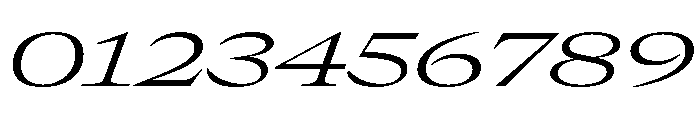 GTCanon LExpandedLightItalic Font OTHER CHARS