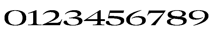 GTCanon LExpandedMedium Font OTHER CHARS