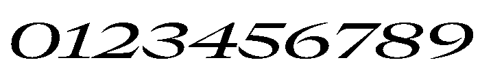 GTCanon LExpandedMediumItalic Font OTHER CHARS