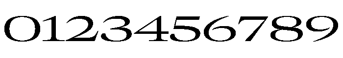 GTCanon LExpandedRegular Font OTHER CHARS