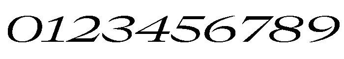 GTCanon LExpandedRegularItalic Font OTHER CHARS