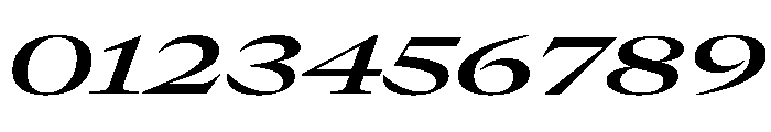 GTCanon LExpandedSemiboldItalic Font OTHER CHARS