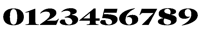 GTCanon LExtendedBlack Font OTHER CHARS