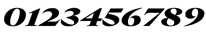 GTCanon LExtendedBlackItalic Font OTHER CHARS