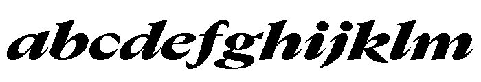 GTCanon LExtendedBlackItalic FONT